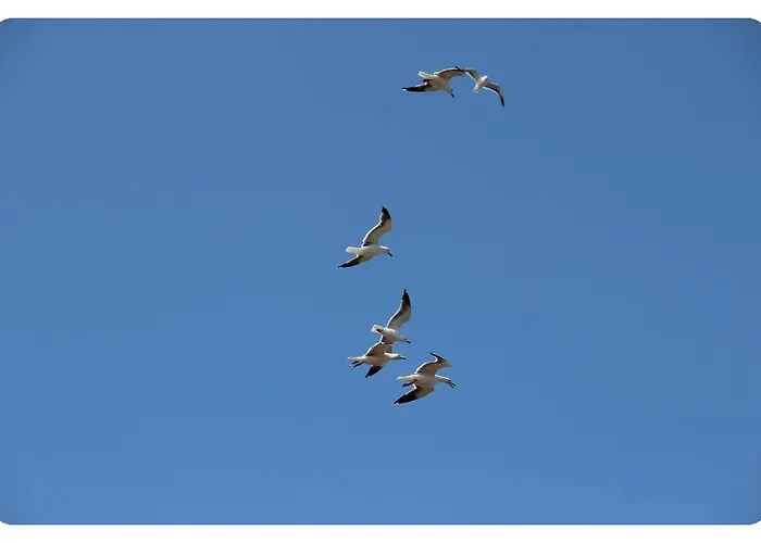 Flats Lago 19 马希库